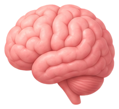 Le cerveau — jeu le corps de Mini héros