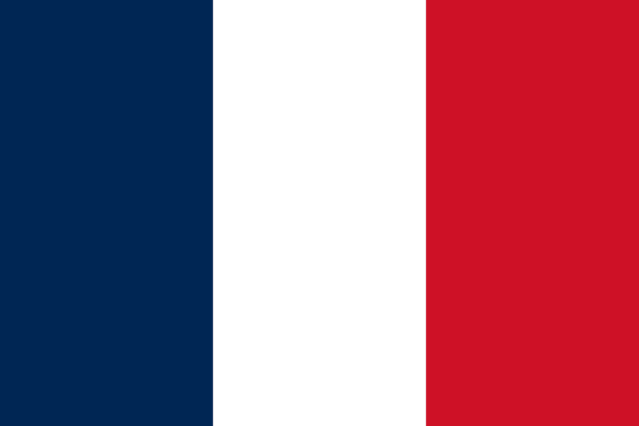 Le drapeau de la France — jeu découverte du monde de Mini héros